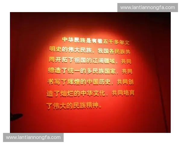 以旗手为中心凝聚信念引领时代奋进方向共同书写民族复兴新篇章