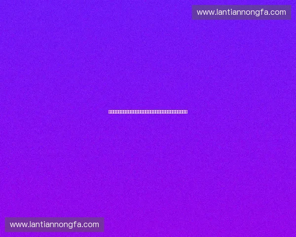 聚焦年度权益续签策略与客户价值提升路径创新实践探索与风险管控机制